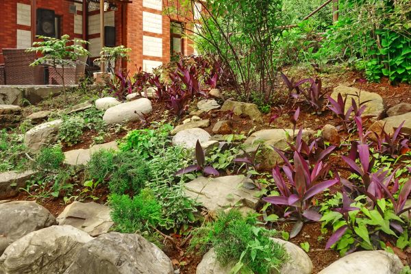 Rock Garden Landscaping in Longmont
