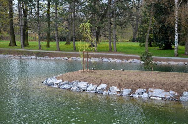 Pond Landscaping Service in Longmont