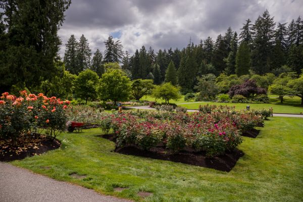 Flower Garden Landscaping in Longmont