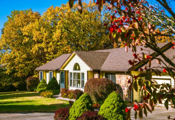 Ranch Landscaping in Longmont