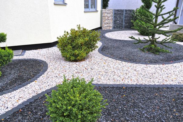 Rock Landscape Design in Longmont