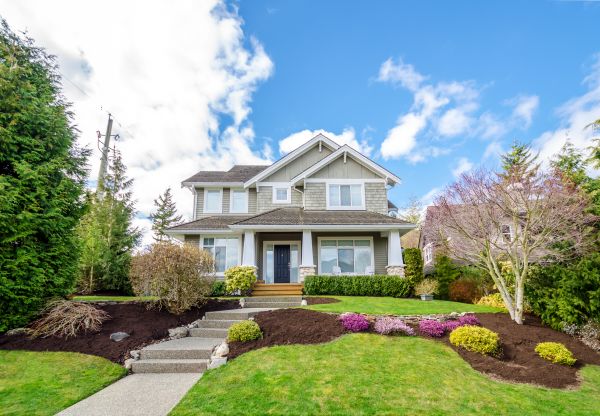 Landscaping Replacement in Longmont
