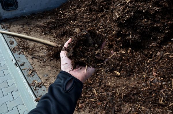 Condo Mulching in Longmont