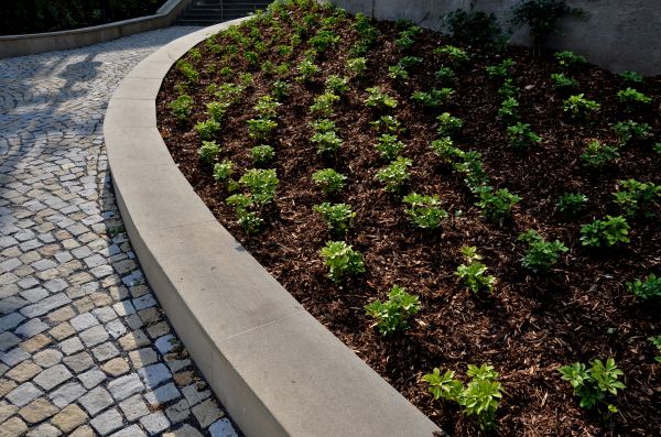 Commercial Mulching in Longmont